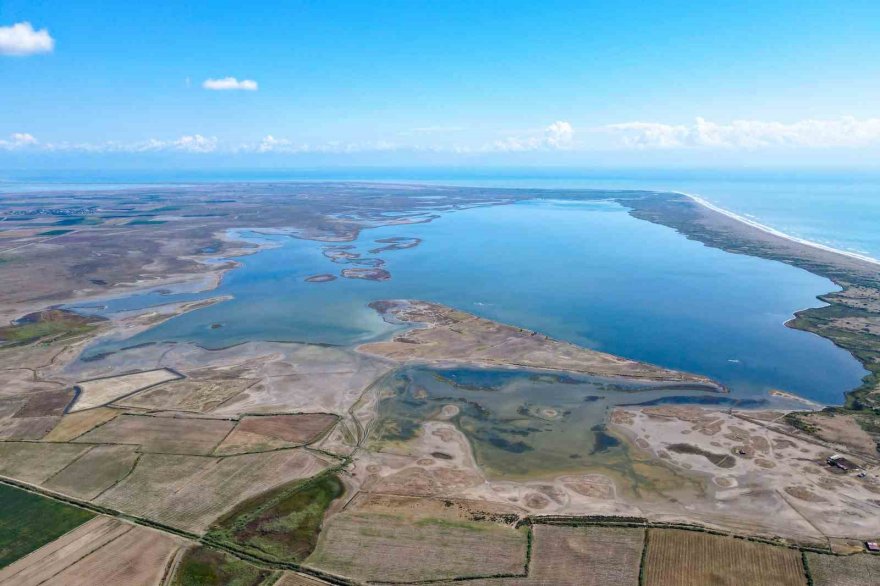 Yeşil deniz kaplumbağalarının yuvası çöl olmayacak