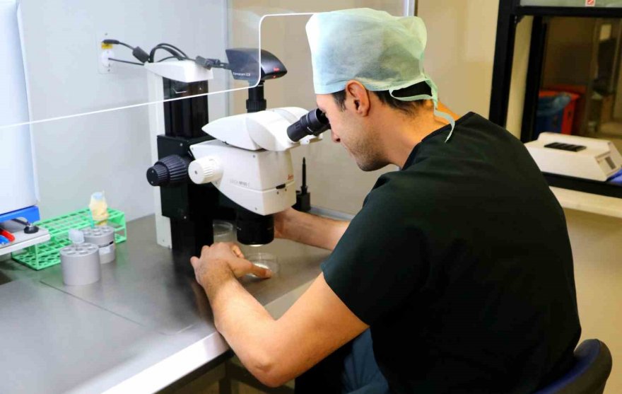 Adana Şehir Eğitim ve Araştırma Hastanesi’nden ’A’ kalite tüp bebek merkezi