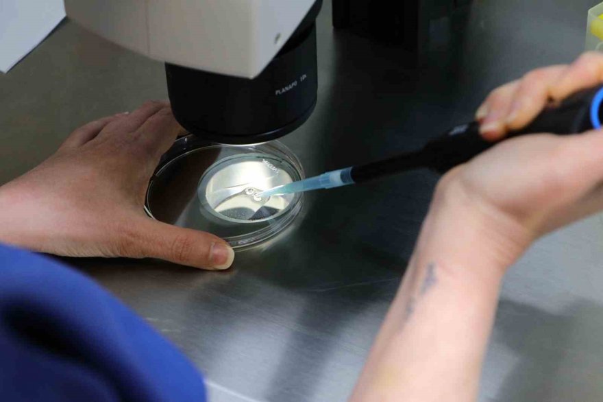 Adana Şehir Eğitim ve Araştırma Hastanesi’nden ’A’ kalite tüp bebek merkezi