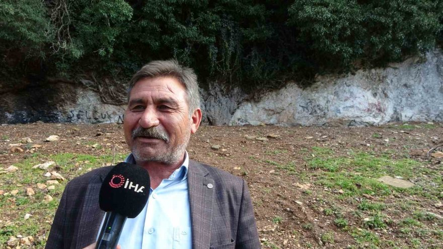 4 bin yıllık sarmaşık görenleri mest ediyor