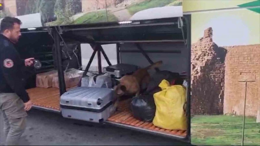 Adana'da otobüsteki yolcunun valizinden 21 kilo esrar çıktı