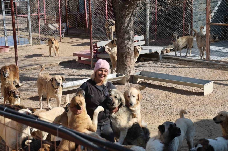 Yüzde 70’i engelli 254 sokak hayvanına yuva kurdu