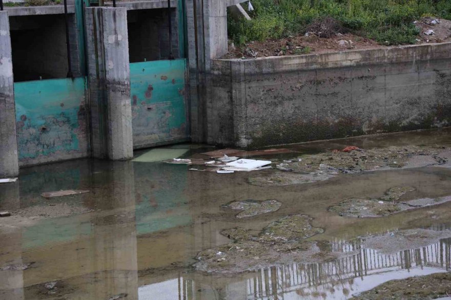 Yeni temizlenen kanallar yine kirletildi