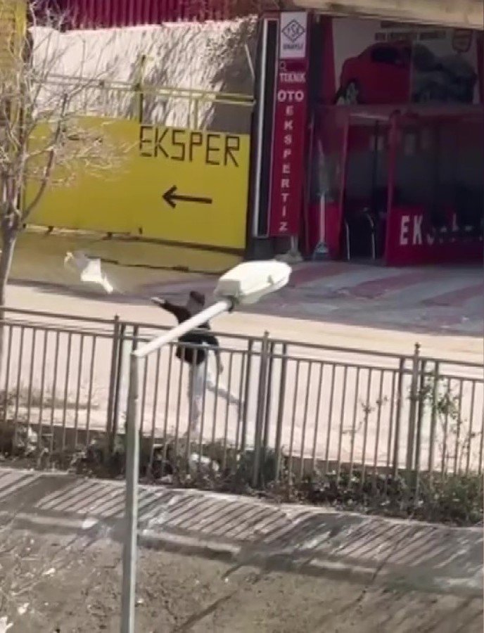 Yeni temizlenen kanallar yine kirletildi