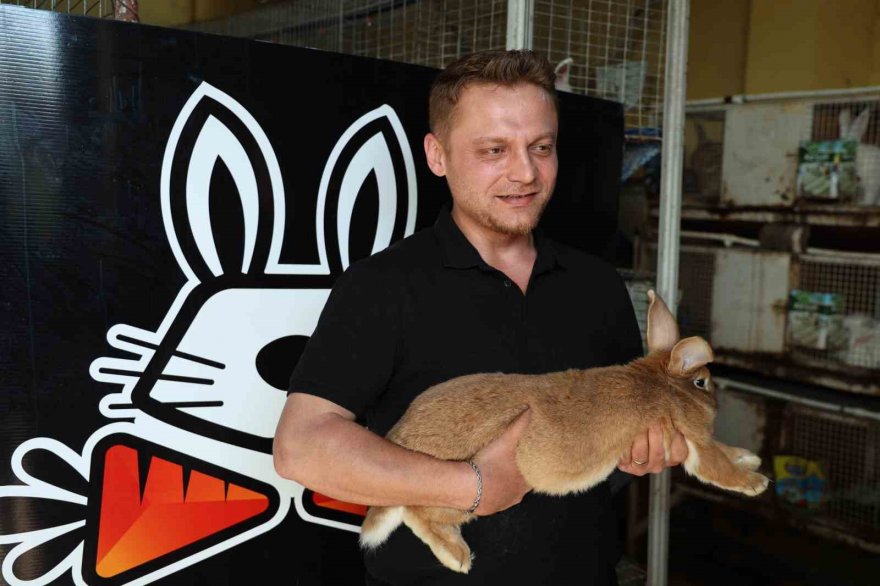 Etlik tavşanlar sıfır atık ile üretime kazandırıldı