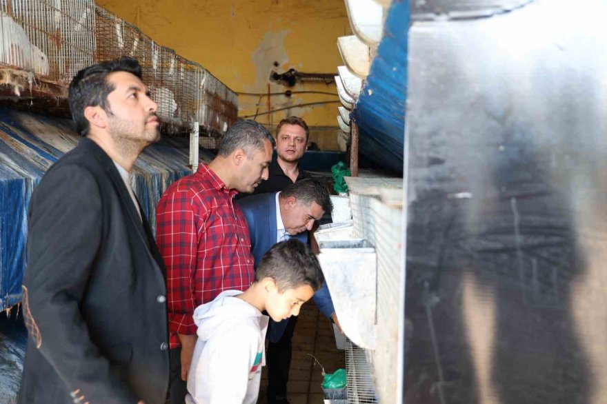 Etlik tavşanlar sıfır atık ile üretime kazandırıldı