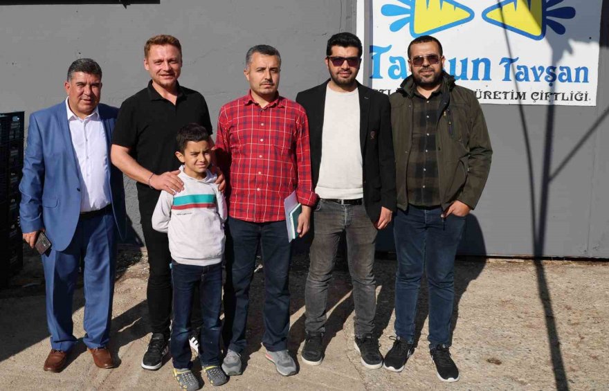 Etlik tavşanlar sıfır atık ile üretime kazandırıldı