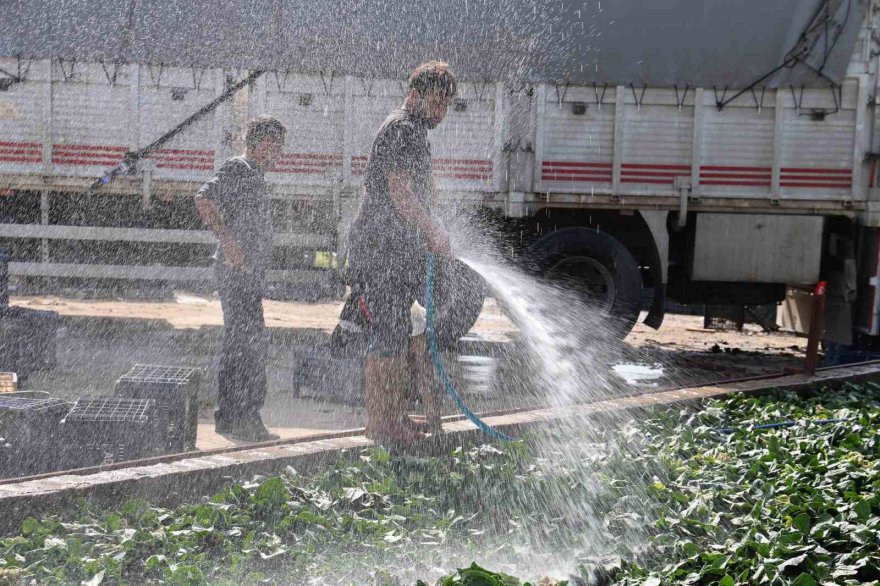 Adana’da yetişen turp, pırasa ve ıspanaklar deprem bölgesi Malatya’dan talep görüyor