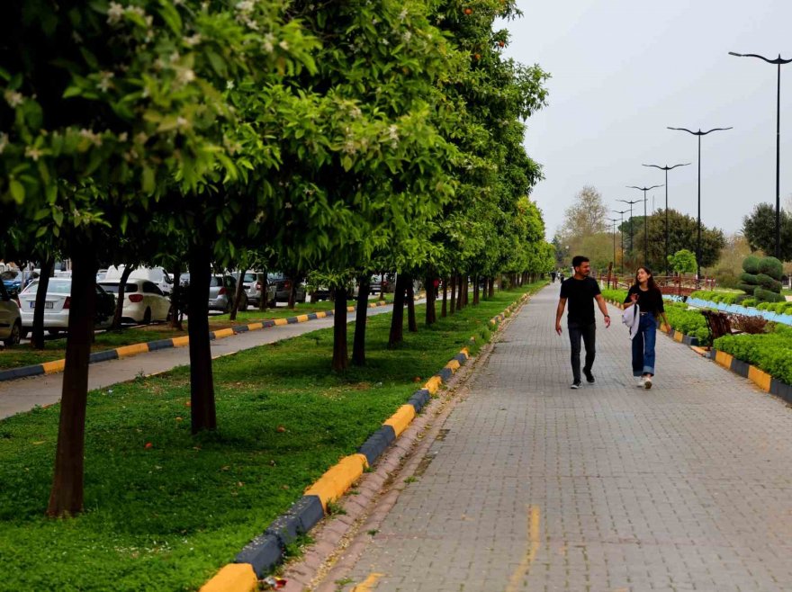 Adana’yı narenciye çiçeği kokusu sardı
