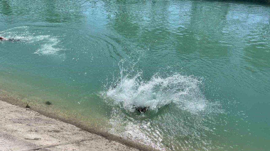 Adana'da kanalda yüzme yine başladı: ‘Korkunun ecele faydası yok’
