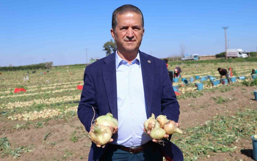 Adana’da turfanda soğan hasadı başladı