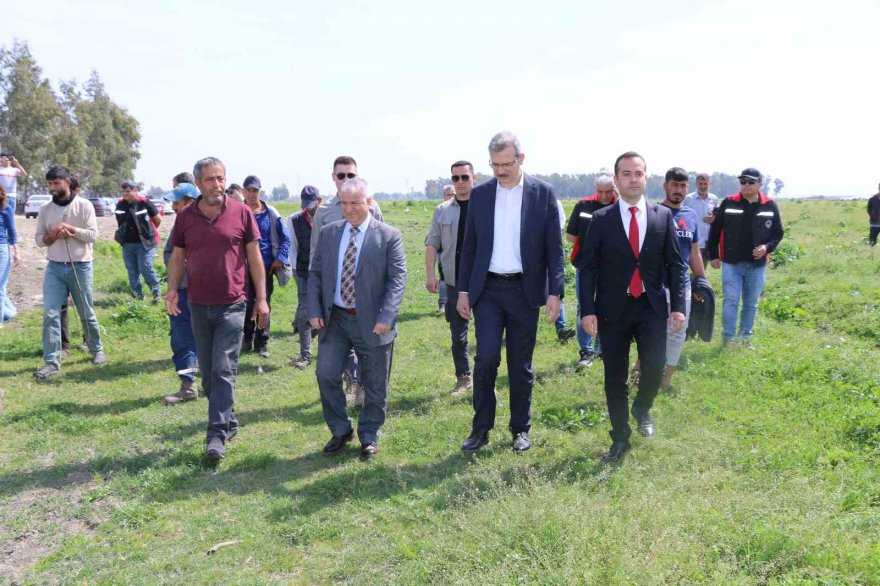 Ovadaki meralarda otlatma sezonu başladı