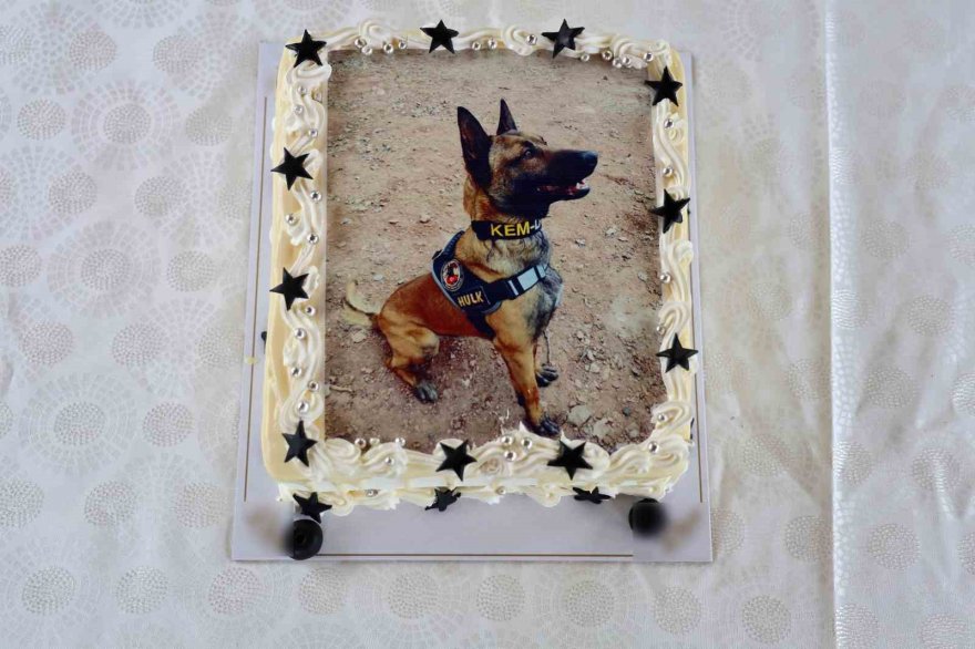 Narkotik köpeği Hulk’un 7’nci yaş günü pasta kesilerek kutlandı