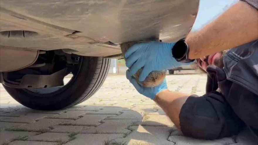 Otomobilin tamponunda ve alt muhafaza korumasında 2 kilo 200 gram esrar çıktı