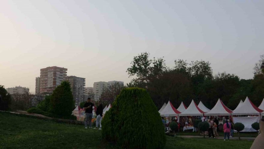 Afrika’dan gelen toz taşınımı Adana’da etkili oldu