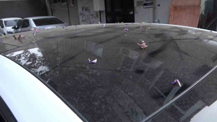 Afrika’dan gelen toz taşınımı Adana’da etkili oldu