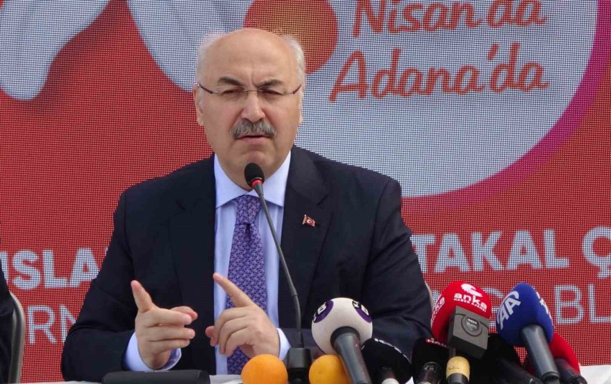 Karnaval Komitesi Başkanı Bozkurt: 