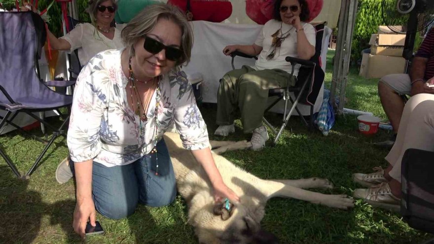 Bu standın tüm kazancı sokak hayvanlarına