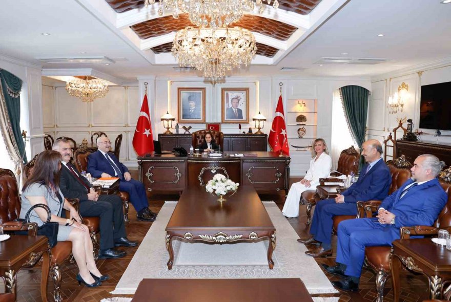 Çocuk Vali Şimşek, 