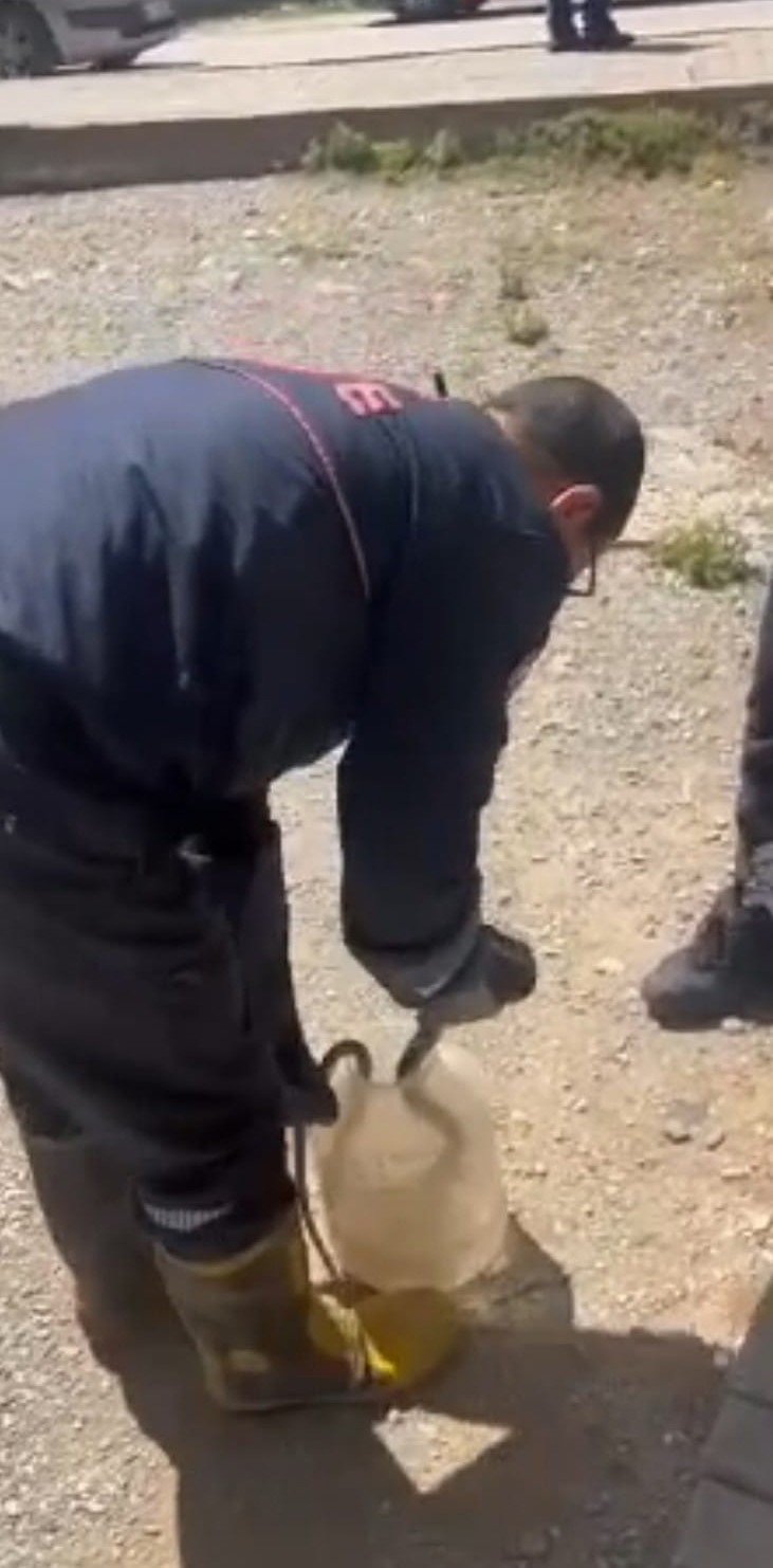 Adana’da yılan paniği