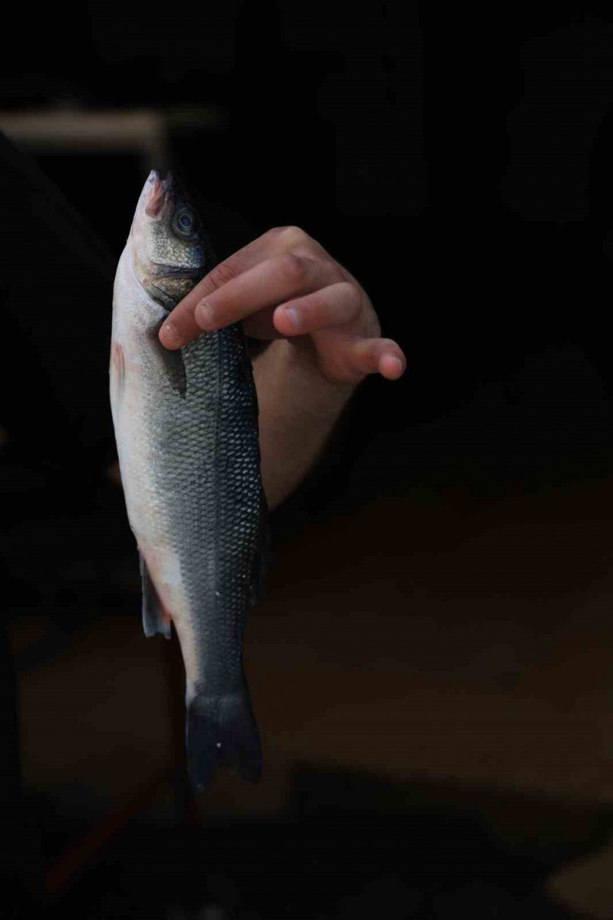 Kebabın başkentinde levrek ve çipura da tüketiliyor