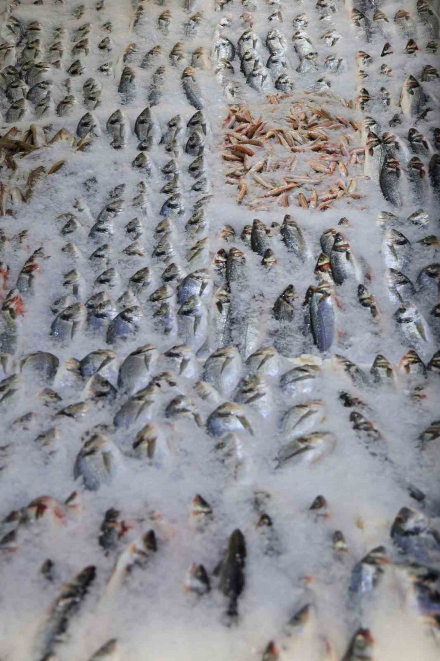 Kebabın başkentinde levrek ve çipura da tüketiliyor