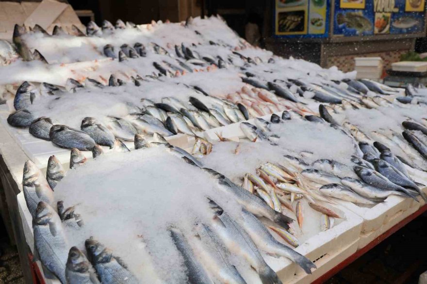 Kebabın başkentinde levrek ve çipura da tüketiliyor