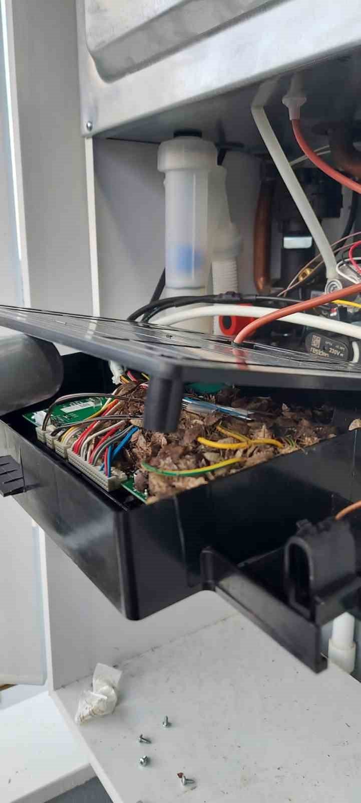 Prof. Dr. Taşova : “Böcekler mikropların taşıyıcısıdır”