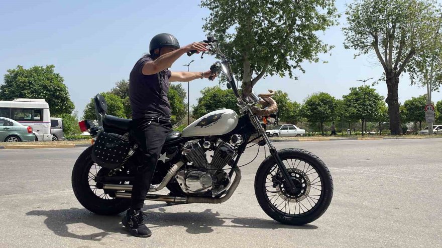 Motosikletine dağ keçisi boynuzu taktı, trafikte ilgi odağı oldu