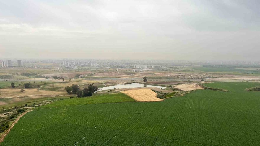 Adana’da toz bulutu etkili oldu