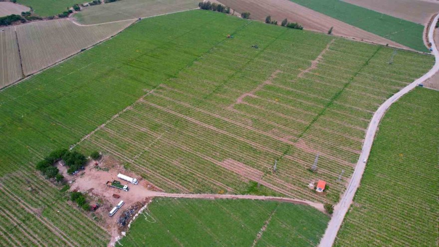 Adana’da turfanda karpuz hasadı başladı