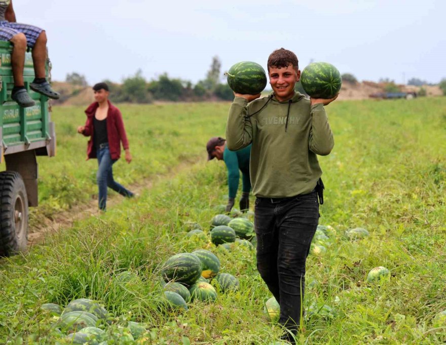 Adana karpuzunun marka değeri timlerle korunuyor