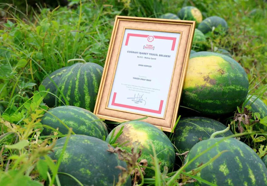 Adana karpuzunun marka değeri timlerle korunuyor