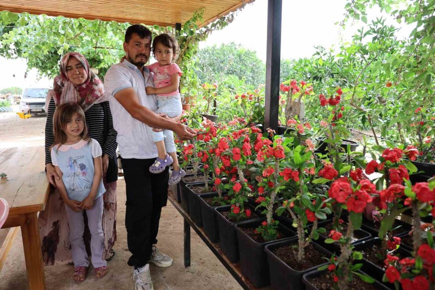 “Bir dal çiçek istediler” o serasını kurup kendi işinin patronu oldu