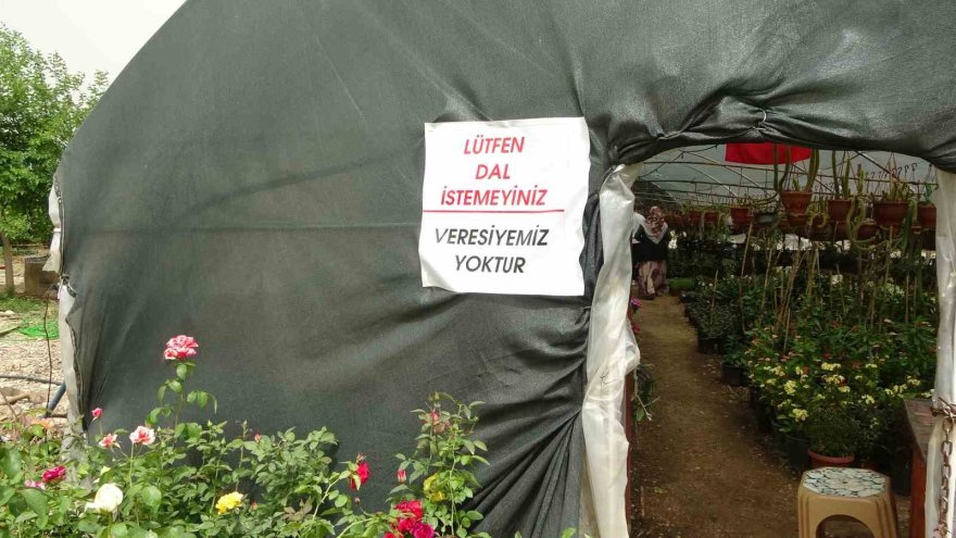 “Bir dal çiçek istediler” o serasını kurup kendi işinin patronu oldu