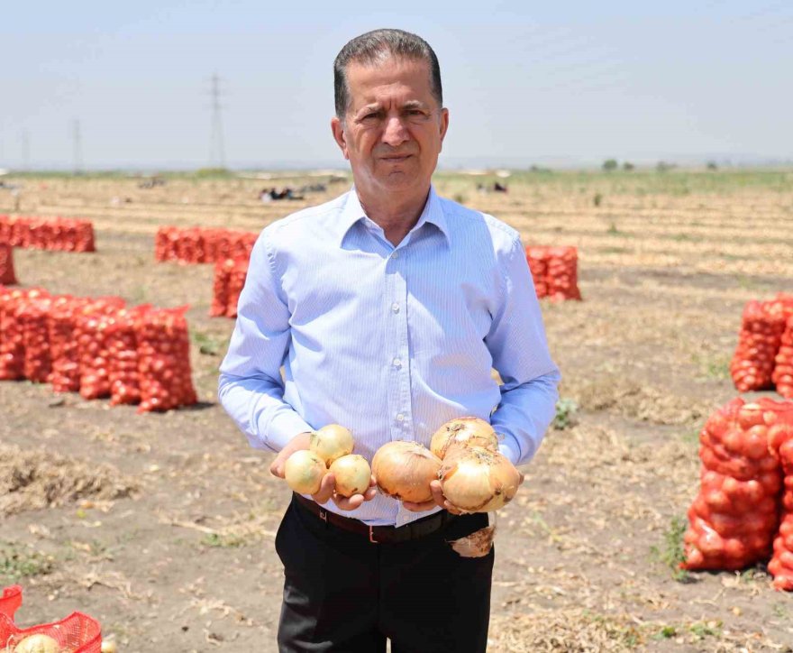 Soğan fiyatları tarlada 5 liraya düştü
