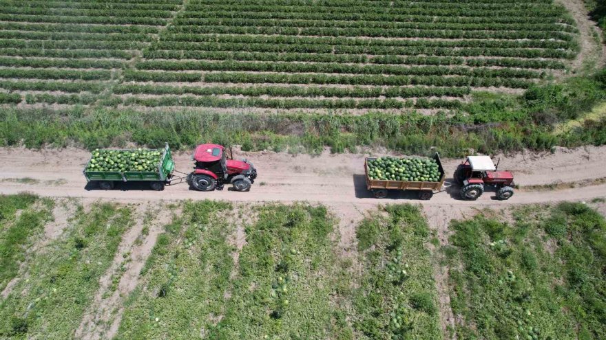 Adana karpuzuna ’EURO 2024’ dopingi