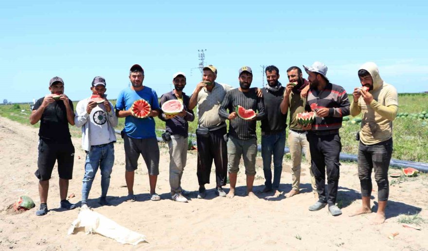 Adana karpuzuna ’EURO 2024’ dopingi