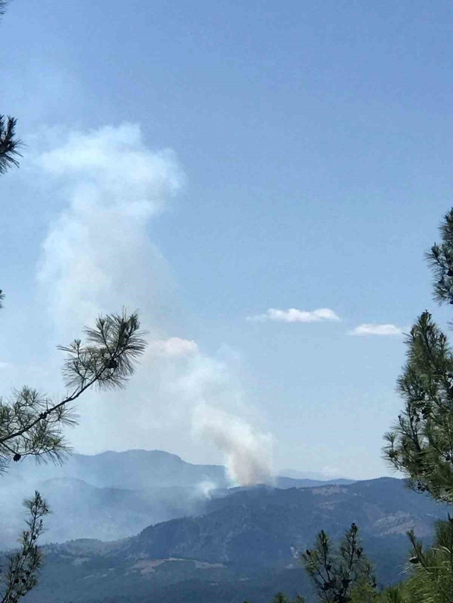 Adana’da orman yangını