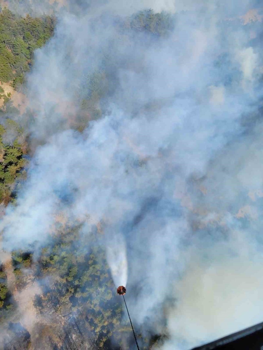 Adana’da orman yangını