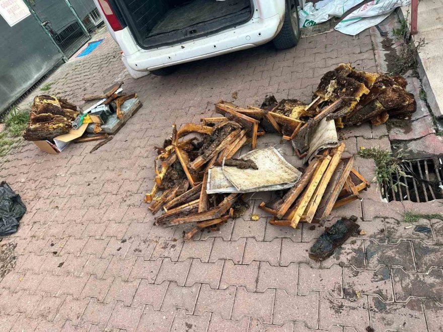 Torbacılar yakalanınca “Kraliçe arı” taşıdıklarını söyledi