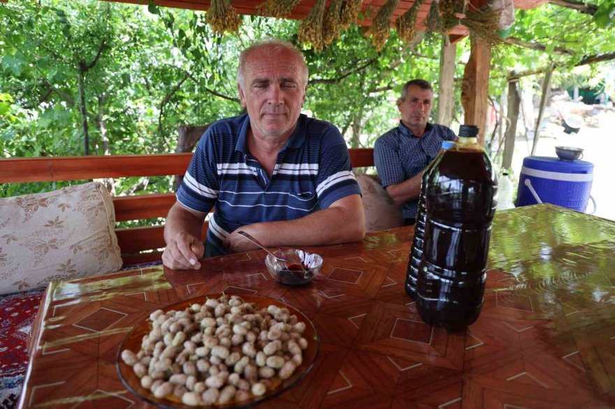 Adana sıcağında dutun şifalı yolculuğu başladı
