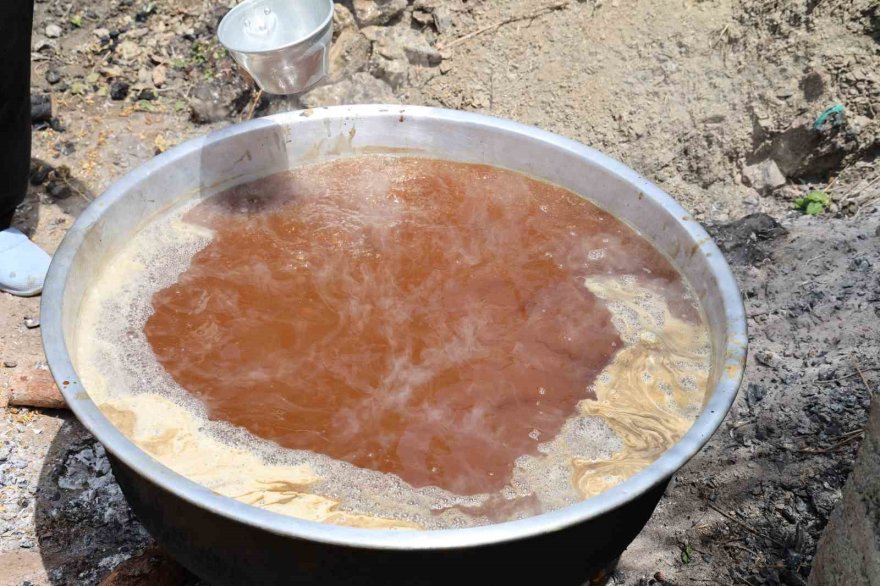 Adana sıcağında dutun şifalı yolculuğu başladı