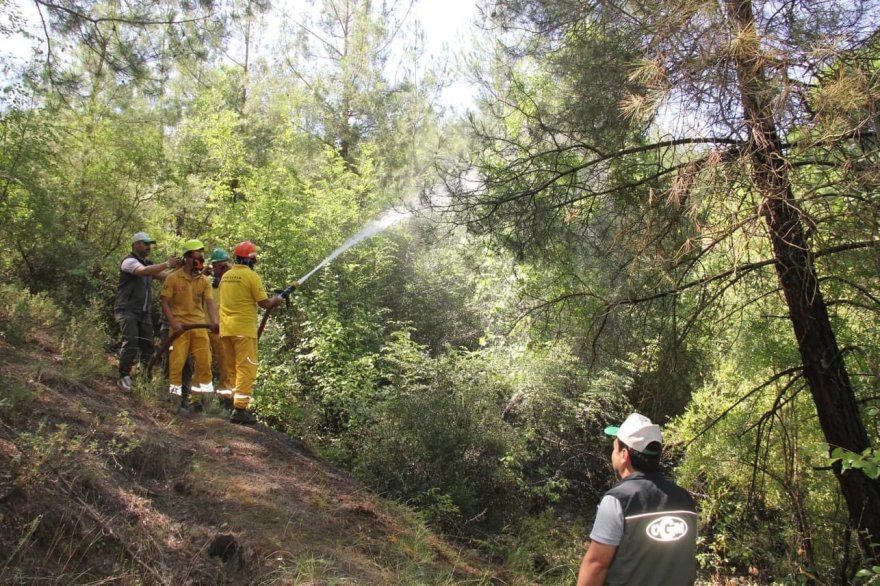 Feke’de orman yangını tatbikatı yapıldı