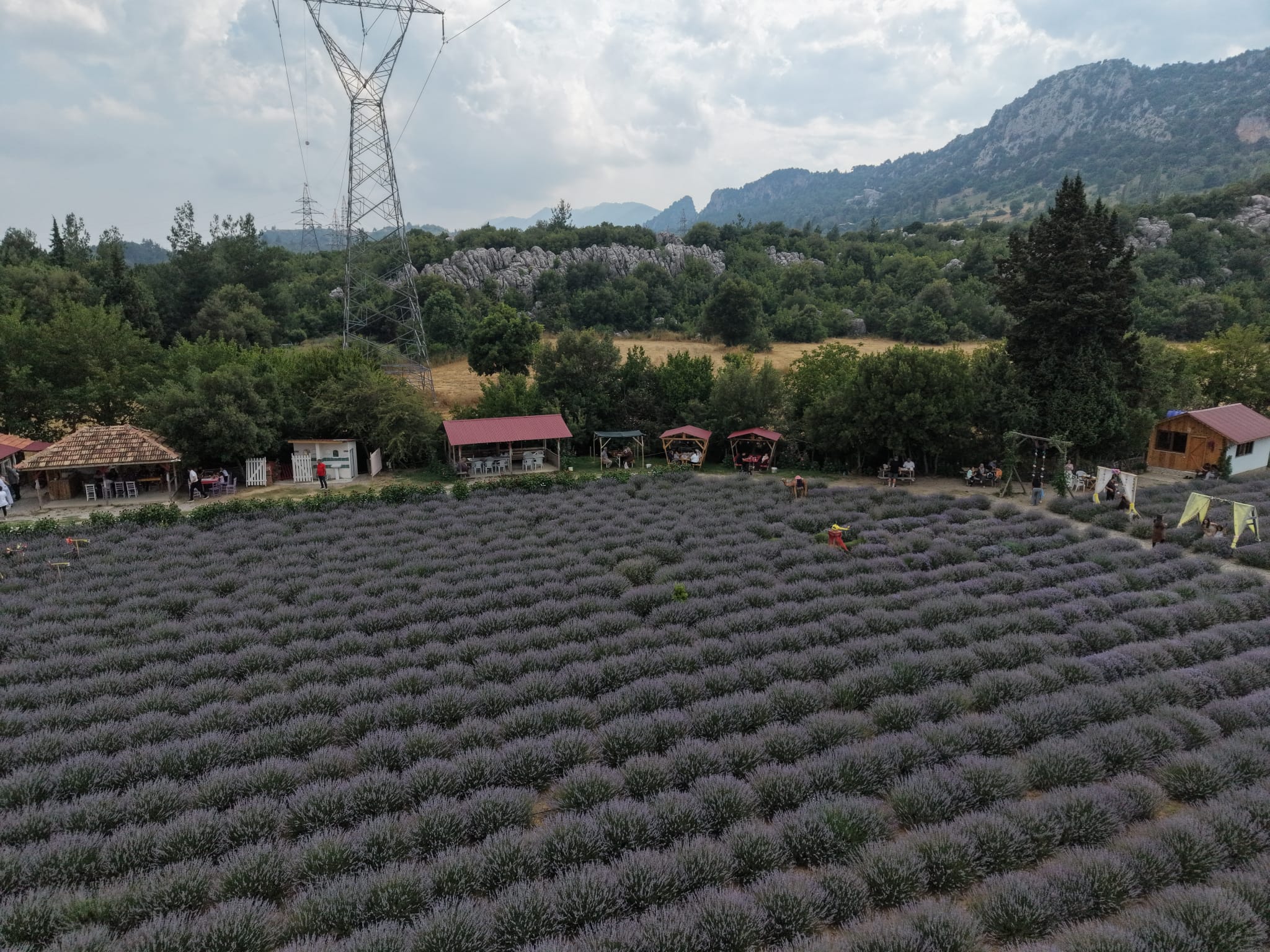 adananin-lavanta-bahceleri-cekim-platos-1398648-415375.jpg