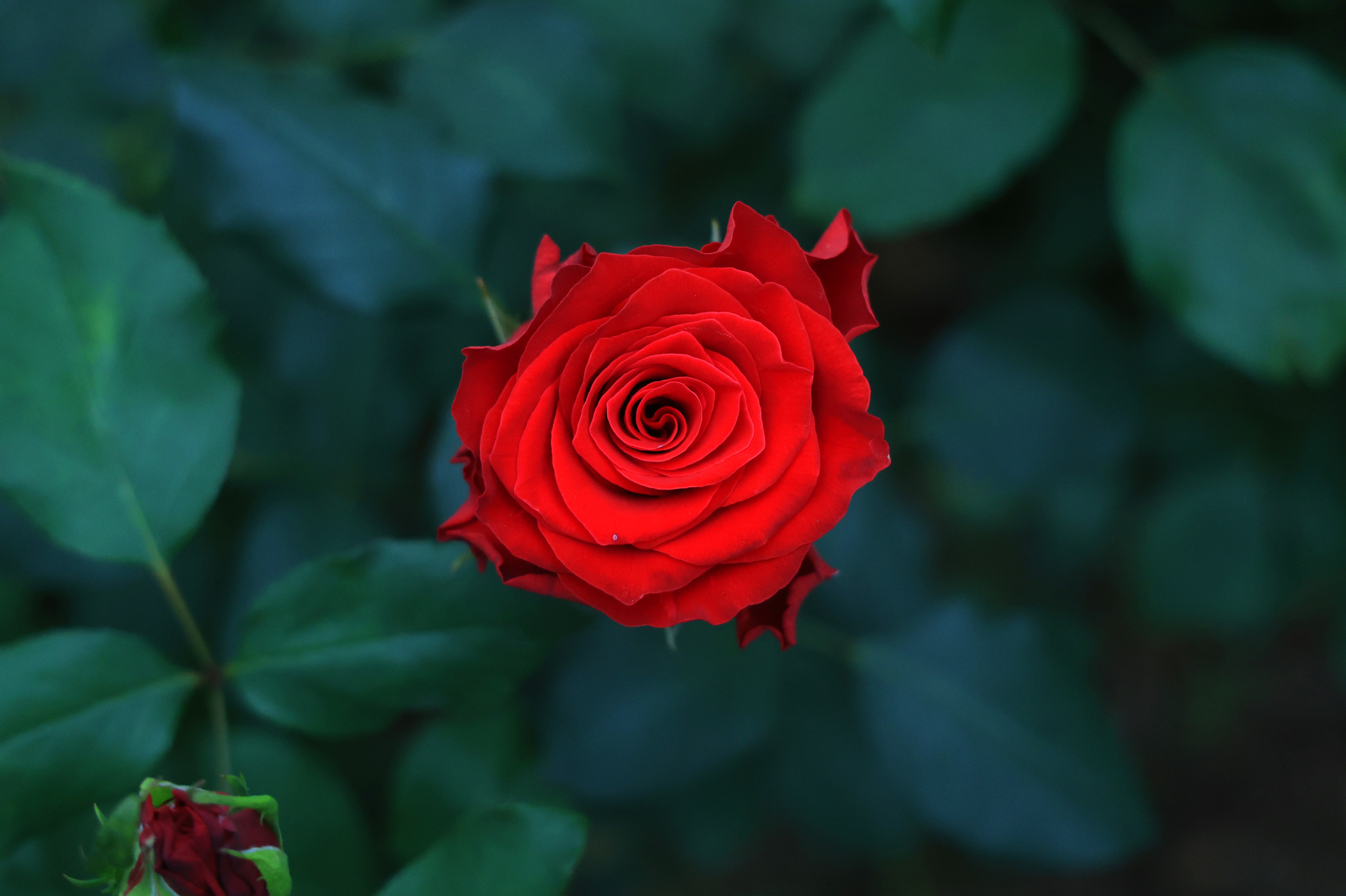 aw698485-06.jpg