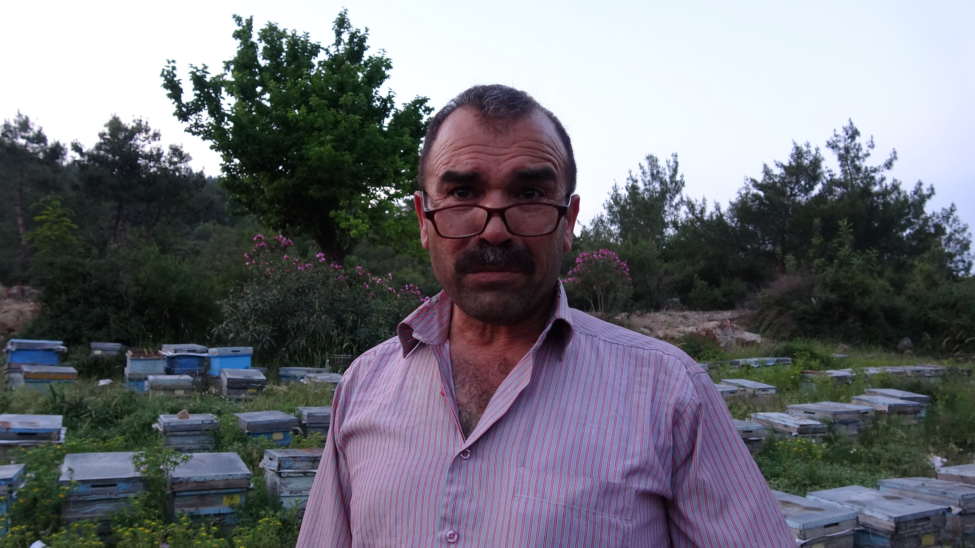 aw720543-03.jpg