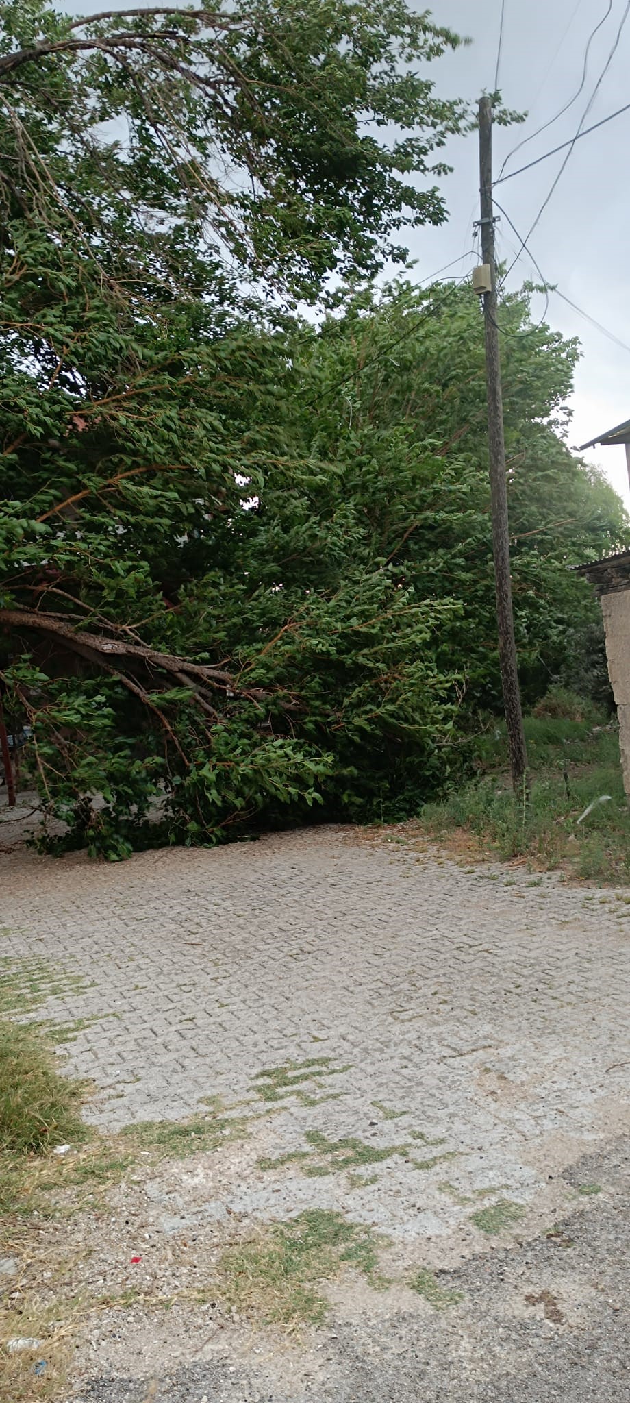 aw732182-02.jpg