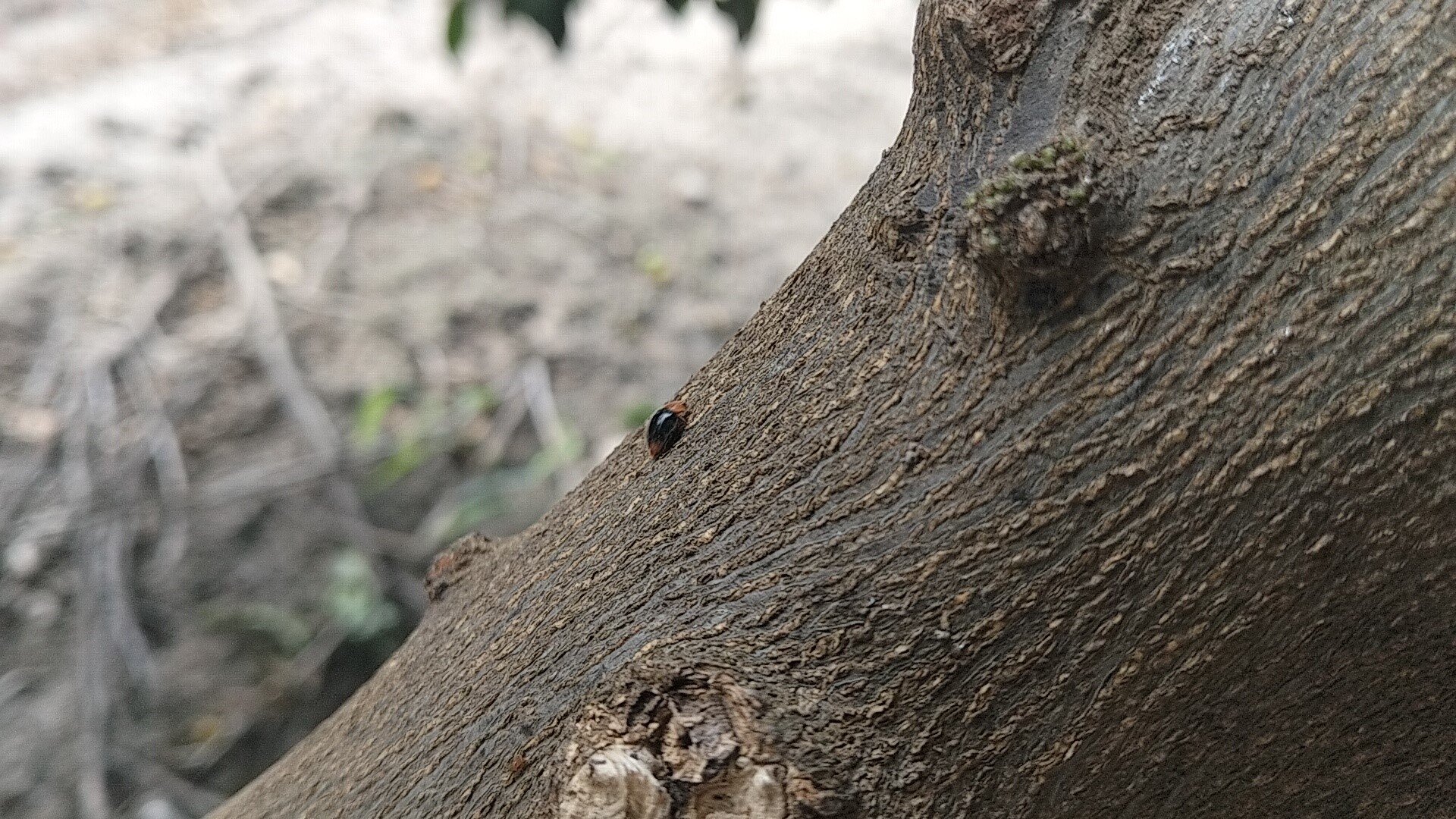 aw742053-01.jpg