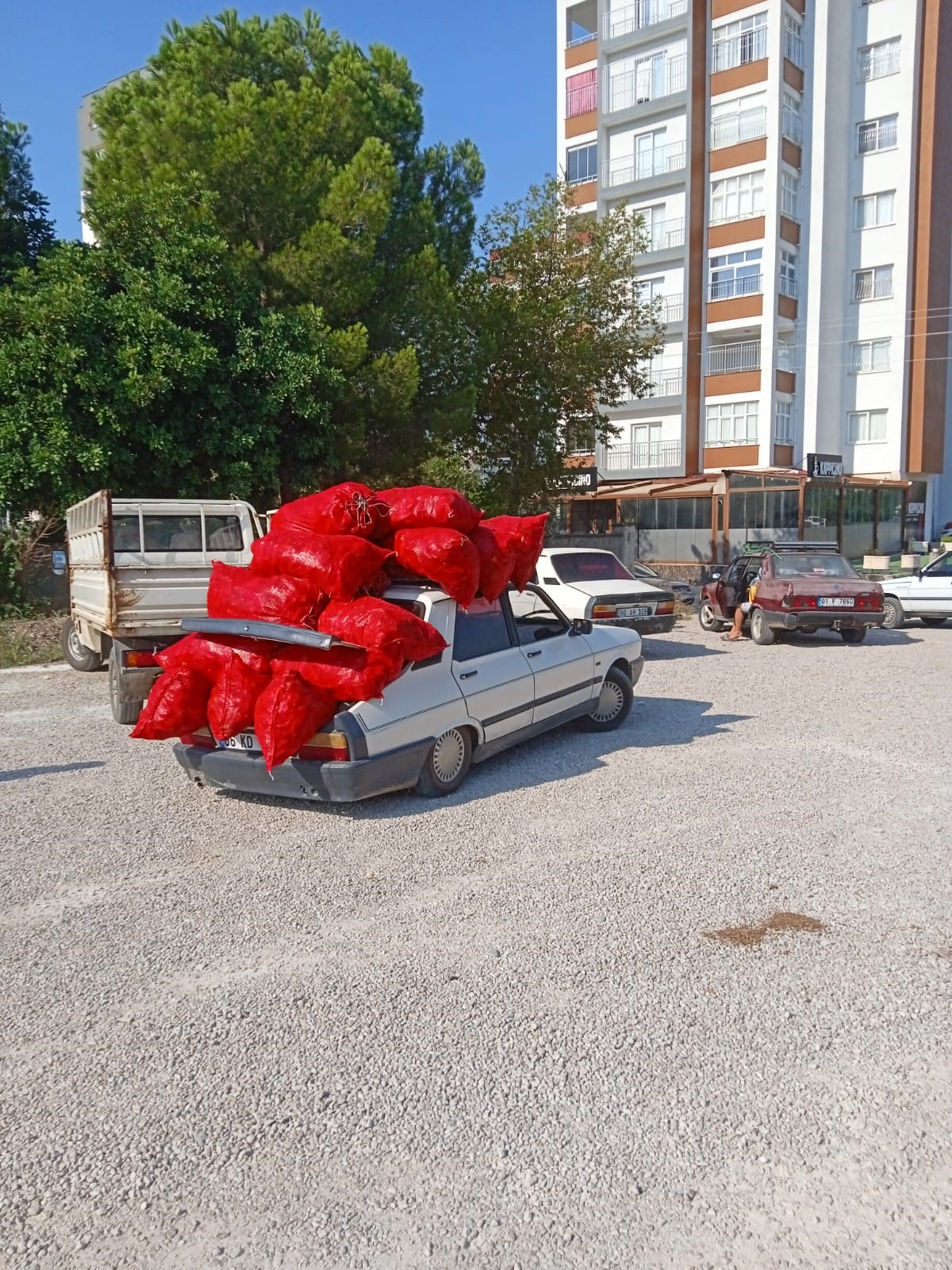 aw772281-04.jpg